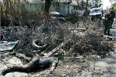 AFP - The body of a man lies next to houses in New Orleans 11 September 2005, two weeks after hurricane Katrina hit the city. The official death toll from Katrina in and around New