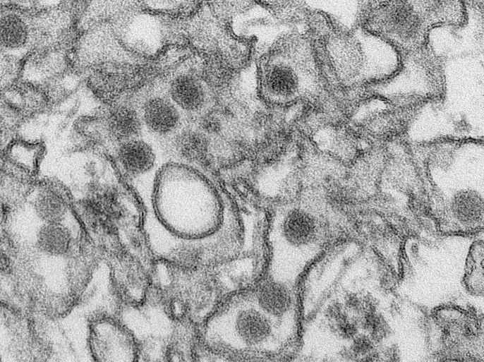 A transmission electron micrograph (TEM) shows the Zika virus, in an undated photo provided by the Centers For Disease Control in Atlanta, Georgia. The U.S. Centers for Disease Control and Prevention (CDC) extended its travel warning to another eight countries or territories that pose a risk of infection with Zika, a mosquito-borne virus spreading through the Caribbean and Latin America. REUTERS/CDC/Cynthia Goldsmith/Handout via Reuters FOR EDITORIAL USE ONLY. NOT FOR SALE FOR MARKETING OR ADVERTISING CAMPAIGNS. ATTENTION EDITORS - THIS PICTURE WAS PROVIDED BY A THIRD PARTY. REUTERS IS UNABLE TO INDEPENDENTLY VERIFY THE AUTHENTICITY, CONTENT, LOCATION OR DATE OF THIS IMAGE. EDITORIAL USE ONLY. NOT FOR SALE FOR MARKETING OR ADVERTISING CAMPAIGNS. NO RESALES. NO ARCHIVE. THIS PICTURE WAS PROCESSED BY REUTERS TO ENHANCE QUALITY. AN UNPROCESSED VERSION HAS BEEN PROVIDED SEPARATELY
