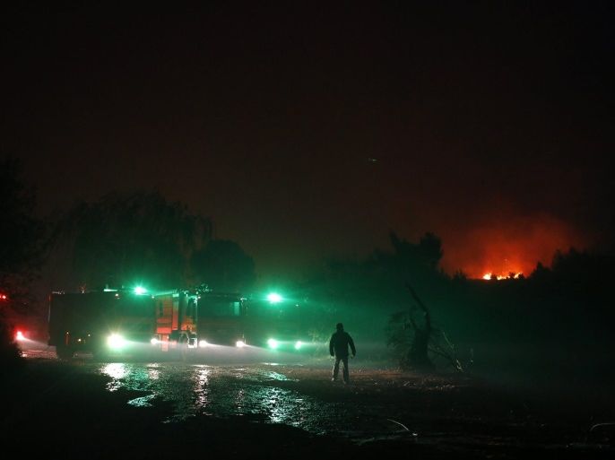 Israeli firefighters try to extinguish a fire in Nataf near Jerusalem, Israel, 25 November 2016. A string of wildfires raged on in areas of central and northern Israel on 25 November forcing hundreds more people to evacuate their homes, Israeli police said.