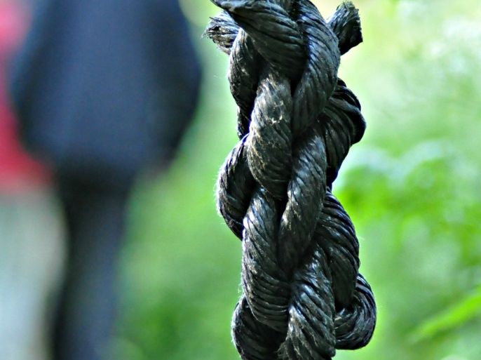 Blogs - rope