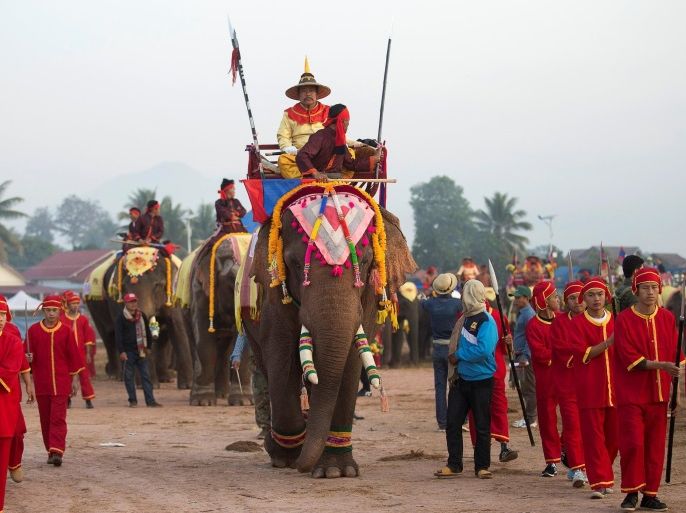 Elephants take part in a parade during Elephant Festival, which organisers say aims to raise awareness about the animals, in Sayaboury province, Laos February 18, 2017. REUTERS/Phoonsab Thevongsa EDITORIAL USE ONLY. NO RESALES. NO ARCHIVES.