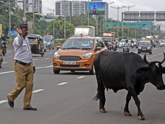 مدونات - البقر في الهند