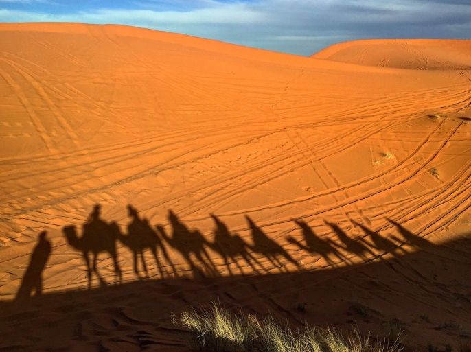 blogs - قافلة في الصحراء