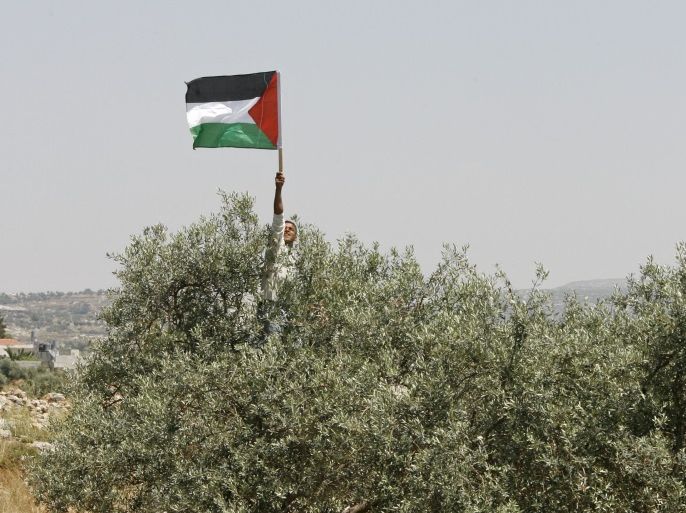 Blogs- فلسطين
