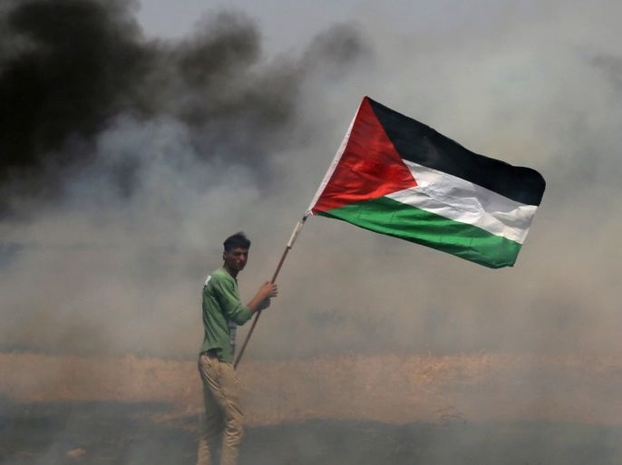 مدونات - غزة فلسطين