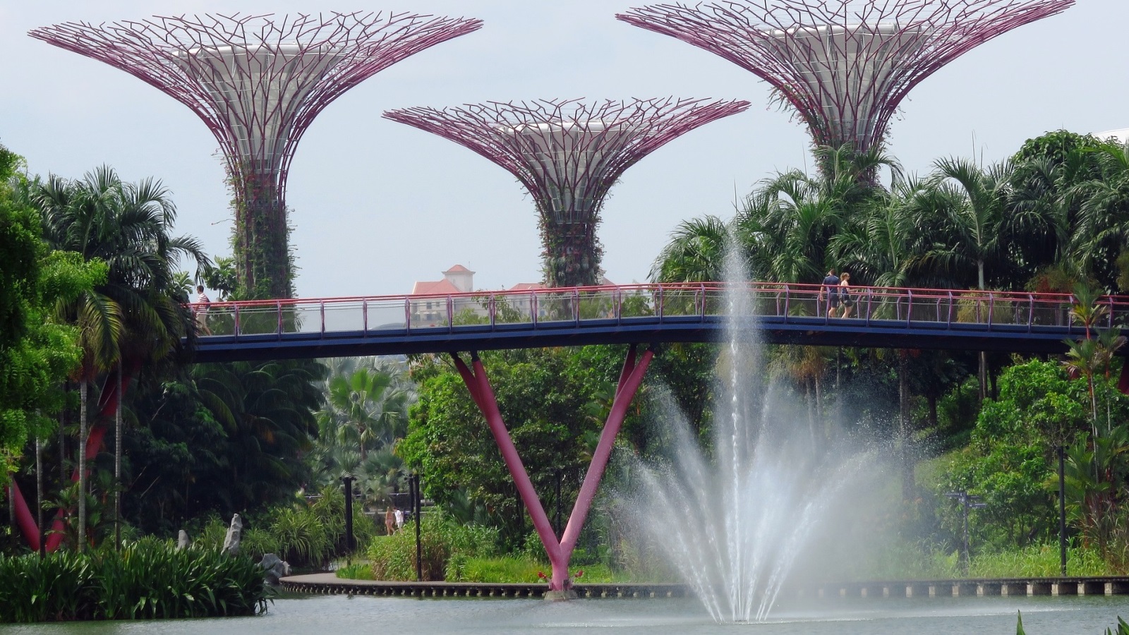 حديقة الخليج في سنغافورة (مواقع التواصل)
