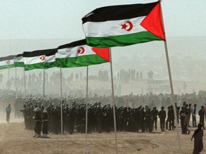 مدونات - جبهة البليسارويو الصحراء