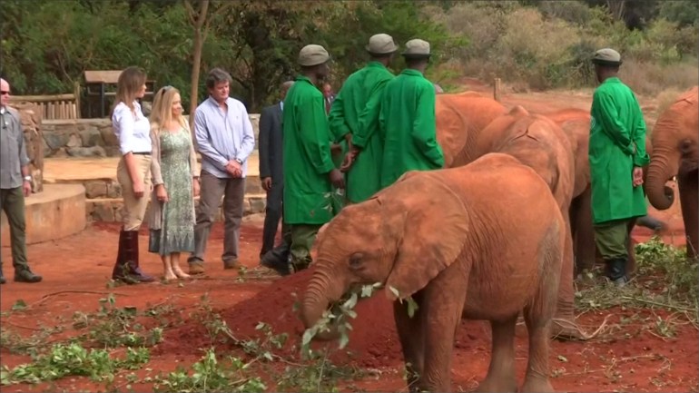 فيل صغير يصدم ميلانيا ترامب في كينيا