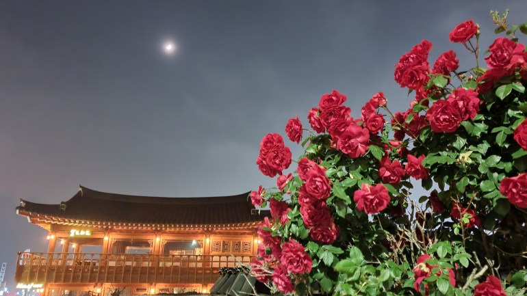 غيونغجو، مدينة الورد الأحمر
