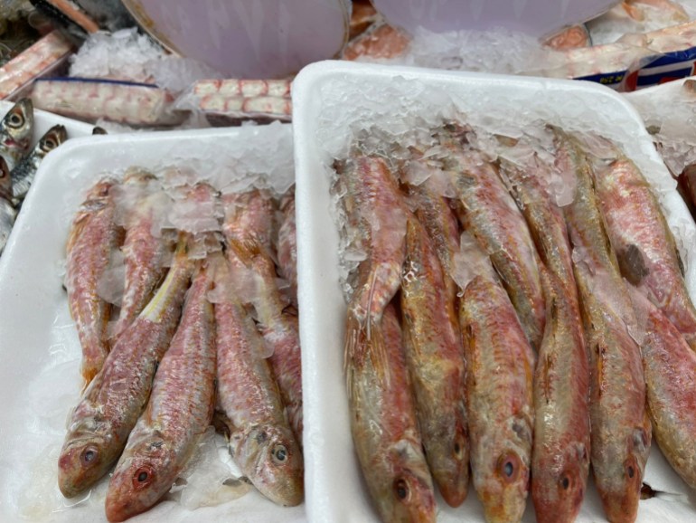 اقتصادي كيف وصلت مصر لمرحلة الاكتفاء الذاتي في إنتاج الأسماك؟ - *** للاستخدام الداخلي فقط