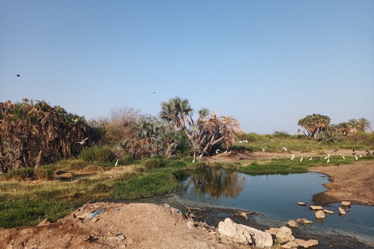 أصبحت المحمية مكبا لرمي النفايات ومكانا لتجمع الحشرات مياه الصرف الصحي (عدن -سميرحسن - خاص -الجزيرة) ‫‬