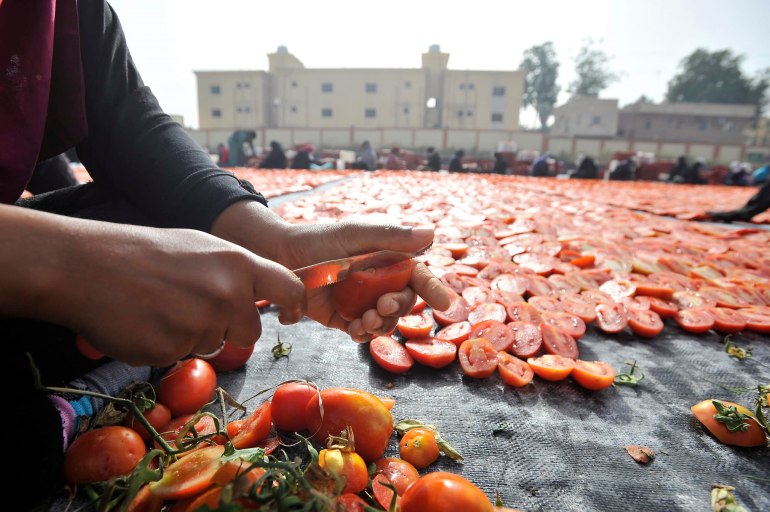 مصور يوثق عملية تجفيفا لطماطم في الأقصر جنوب مصر - الصور من صفحته على الفيس بوك
