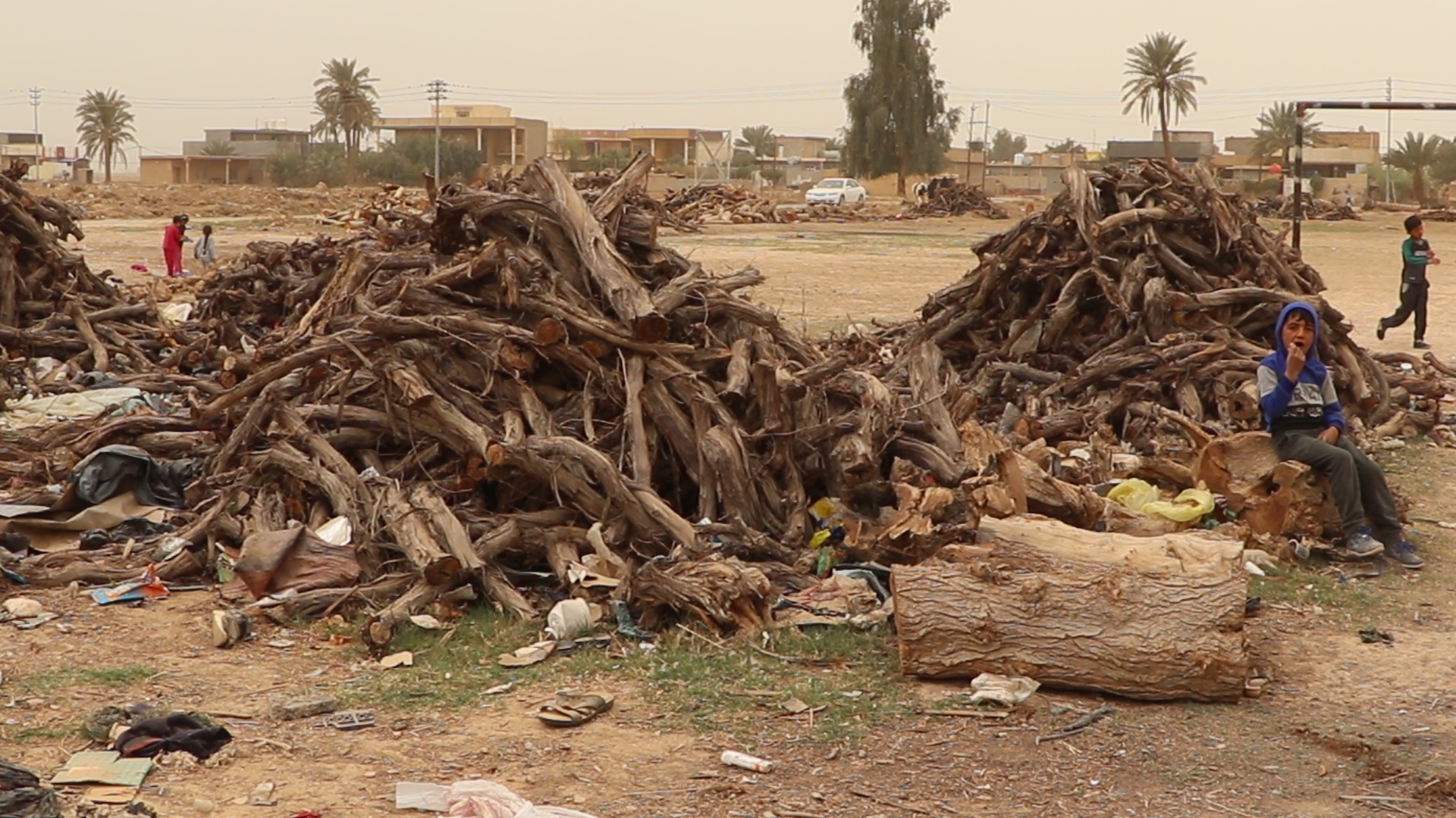 4- الخشب المستورد أصبح ينافس الخشب المحلي في العراق بشكل كبير - الجزيرة نت