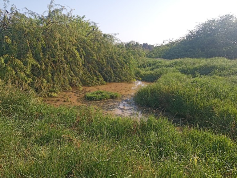 أصبحت المحمية مكبا لرمي النفايات ومكانا لتجمع الحشرات مياه الصرف الصحي (عدن -سميرحسن - خاص -الجزيرة)