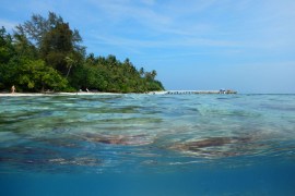 ترتبط ذاكرة المحيط بخاصية القصور الذات الحراري في المحيطات حول العالم (غيتي)