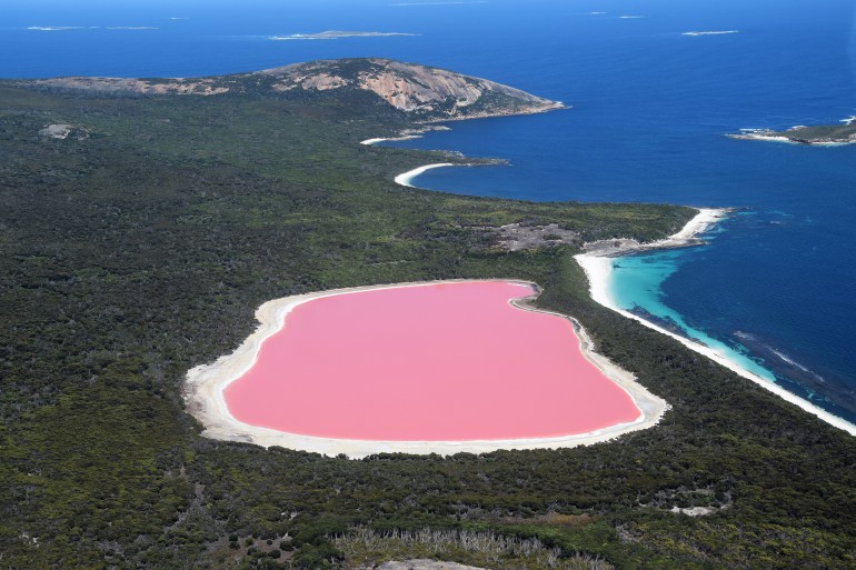 The amazing Lake Hillier, so-called Pink Lake, famous landmark of Australia. Pink Lake is located near Esperance, Cape Le Grand National Park, in Western Australia. Aerial view.