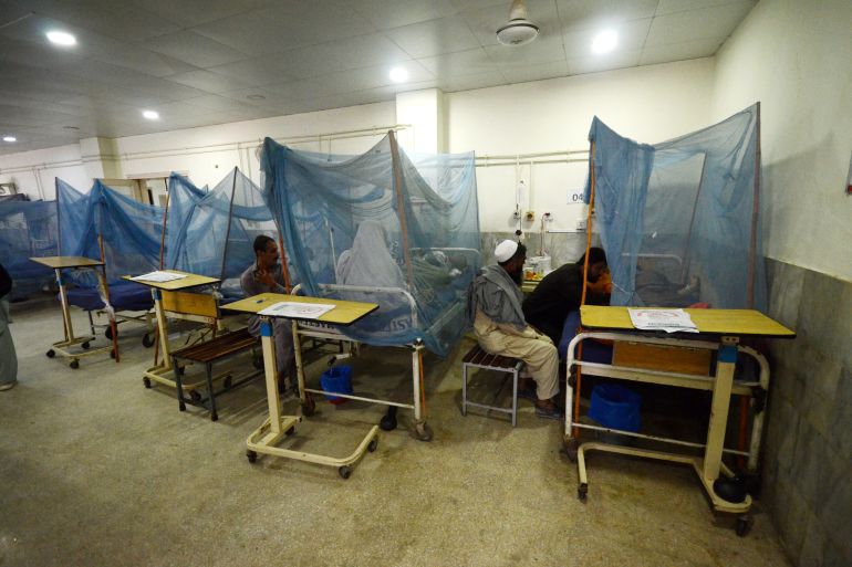 Dengue-fever outbreak in Peshawar