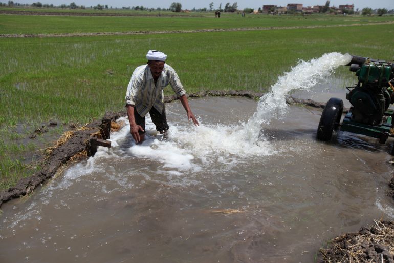 An Egyptian farmer tries to irrigate his land by pumping water from a well in a farm affected by drought and formerly irrigated by the river Nile, in El-Dakahlya