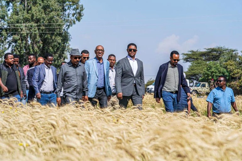 آبي أحمد .. وسط حقول القمح بإقليم أوروميا 29 أكتوبر - الصحافة الإثيوبية