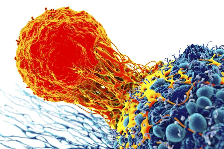 استطاع الباحثون علاج عدد من الأورام الصلبة من خلال استخدام تقنية التحرير الجيني وهندسة الخلايا المناعية (غيتي) Cancer cell and T cell, illustration. GettyImages-758309221