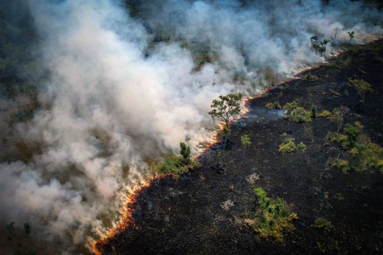 زيادة كبيرة في حرائق الغابات في منطقة الأمازون خلال عام 2022 gettyimages-1242848443 TOPSHOT - Aerial view of a burnt area in the Amazon rainforest, near the Lago do Cunia Extractive Reserve, on the border of the states of Rondonia and Amazonas, northern Brazil, on August 31, 2022. - Experts say Amazon fires are caused mainly by illegal farmers, ranchers and speculators clearing land and torching the trees. (Photo by DOUGLAS MAGNO / AFP) (Photo by DOUGLAS MAGNO/AFP via Getty Images)