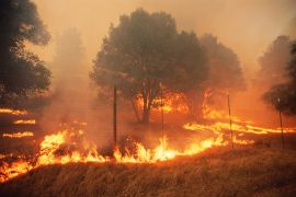 صورة1: حرائق الغابات في كاليفورنيا تسببت في خسائر فادحة في صحة الإنسان (غيتي إيميجز)
