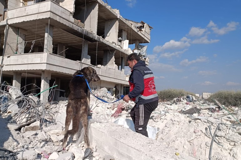 سوريا - ريف حلب - نجح رجل القطط بعلاج ومساعدة نحو 40 قطة متأذية بفعل كارثة الزلزال