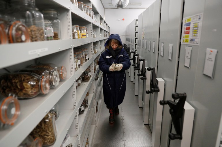 Seed processing assistant Frances Stanley walks through a sub-zero plant seed storage room at Kew Millennium Seed Bank, in Wakehurst, southern Britain February 7, 2020. REUTERS/Peter Nicholls