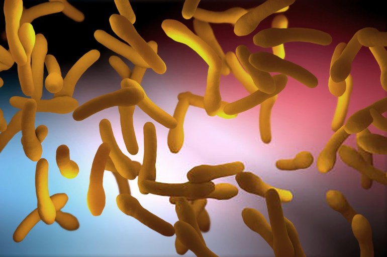 Clostridium botulism pathogens - 3d illustration - Illustrations