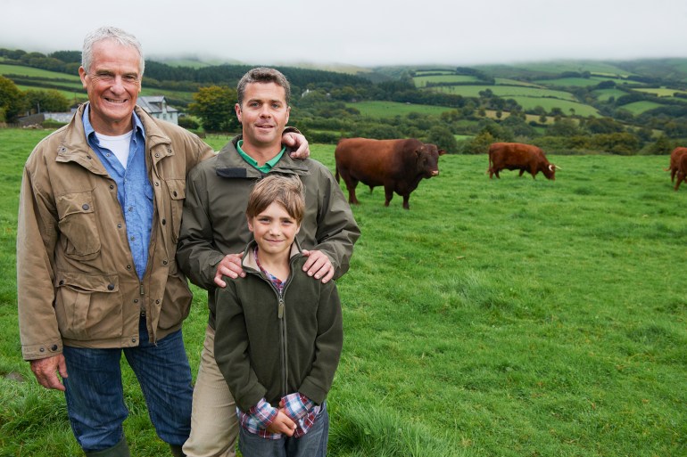 Devon, England Father, son and Grandfather with cows