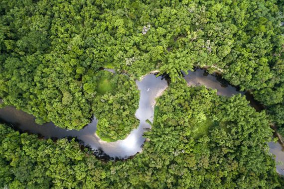 Top View of Amazon Rainforest, Brazil; Shutterstock ID 558184051; purchase_order: aljazeera ; job: ; client: ; other: