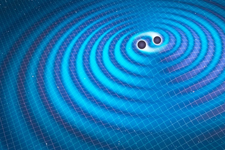 Gravitational waves. Illustration of two black holes orbiting each other, emitting gravitational waves. Gravitational waves are a prediction of Einsteins theory of general relativity. Gravity is the distortion of space-time by mass, and changes in this distortion travel in waves at the speed of light. The effect is most pronounced where extremely massive objects are subject to high acceleration. This is seen, for instance, where black holes or neutron stars are in a close orbit such as this. In February 2016, gravitational waves were finally detected, 100 years after Einsteins prediction. The waves emanated from the collision of two black holes, of 36 and 29 solar masses, some 1.3 billion light years away. The waves were extremely faint by the time they arrived at Earth, where they were detected by the two LIGO detectors in the USA.