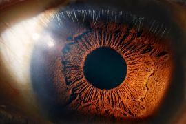 يوفر الميلانين الحماية الكيميائية المذهلة للعين ويحد من فقدان البصر (غيتي)