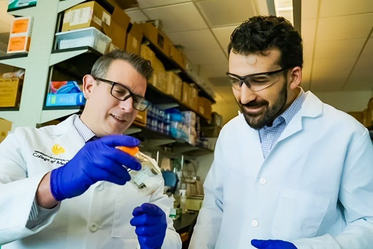 College of Medicine researcher Bradley Jay Willenberg (left) and biomedical sciences Ph.D. student Corey Seavey examine research materials CREDIT : University of Central Florida