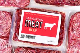 زراعة اللحوم تعتمد على استغلال الخلايا الجذعية التي تتحول إلى لحوم صالحة للاستهلاك الآدمي (شترستوك)