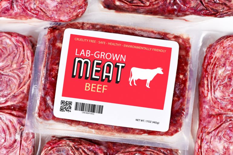 تعتمد زراعة اللحوم على استغلال الخلايا الجذعية التي تتحول إلى لحوم صالحة للاستهلاك الآدمي (شترستوك)