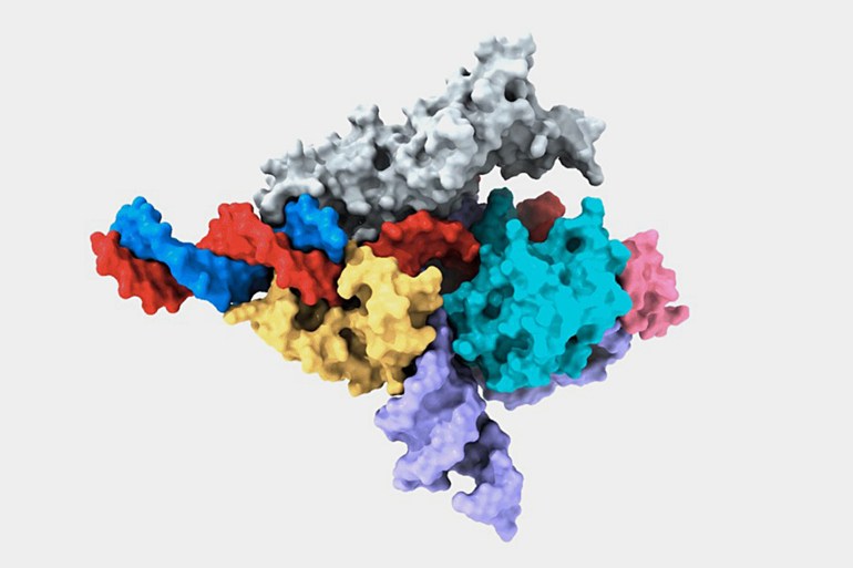 بروتينات "فانزور" تستخدم الحمض النووي الريبي كدليل لاستهداف الحمض النووي بدقة (معهد ماساتشوستس للتكنولوجيا)