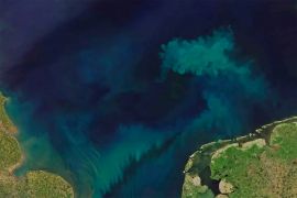 CREDIT NASA and Joshua Stevens, using Landsat data from the U.S. Geological Survey and MODIS data from LANCE/EOSDIS Rapid Response. استنتج الباحثون أن تغير المناخ الناتج عن الأنشطة البشرية هو السبب الرئيسي وراء هذه العوامل التي أدت لتغير لون مياه المحيطات