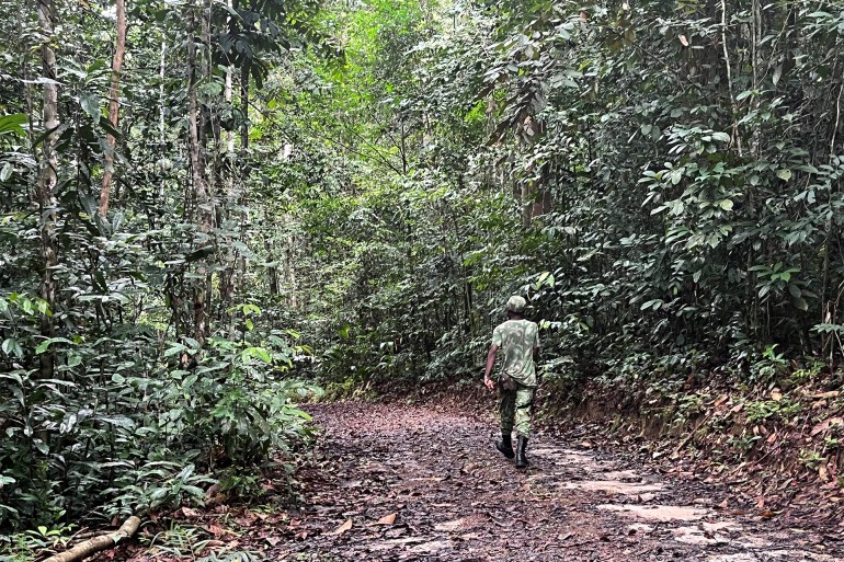 A view shows an ecoguard walking on a path in the Arboretum Raponda Walker during a press visit of this protected forest aera on the eve of the opening of the One Forest Summit in Libreville, Gabon, February 28, 2023. REUTERS/Elizabeth Pineau