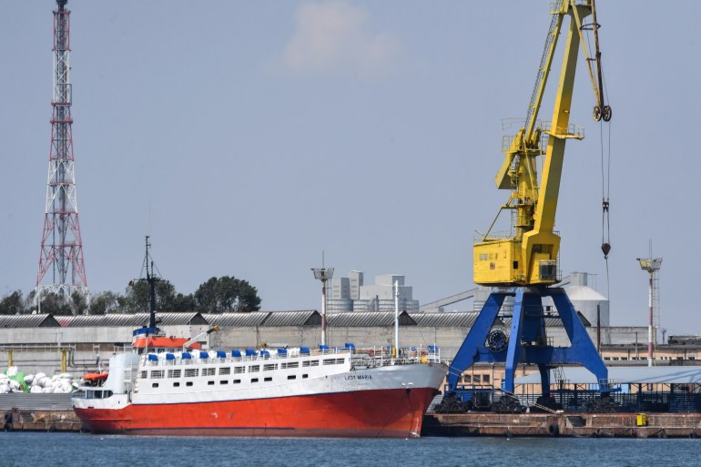 A picture taken on July 30, 2019 shows the Tanzanian-flagged vessel "Lady Maria" at Romania's Midia port on the Black Sea before it embarks its passengers: thousands of sheep to be shipped to Libya for the Eid al-Adha holiday. - Despite a warning from the EU and shocking secret footage released last year of heat-stricken sheep struggling to breathe on ships traveling from Australia to the Middle East, Romania continues to export livestock at the height of summer. (Photo by Daniel MIHAILESCU / AFP)