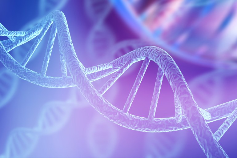 Blue DNA structure isolated background. 3D illustration; Shutterstock ID 1238405779; purchase_order: aljazeera ; job: ; client: ; other: