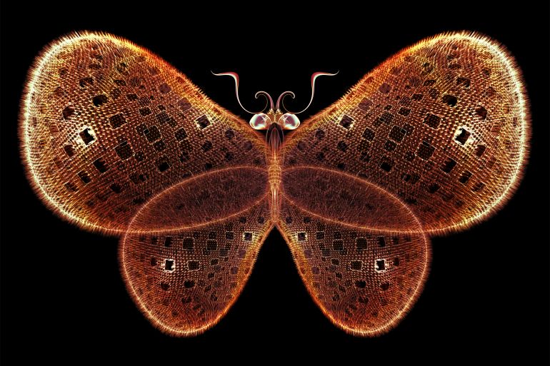 Never Were Butterflies series. Graphic composition of isolated butterfly patterns to serve as complimentary design for subject of science, imagination, creativity and design