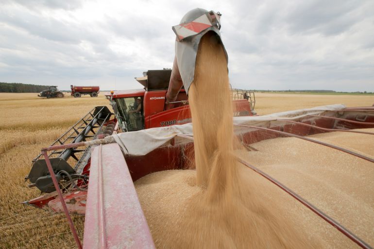 Combine reloads wheat into the bunker for further transportation during the harvest near the Krasne village, Chernigiv region, 120 km to the north from Kyiv, July 05, 2019.