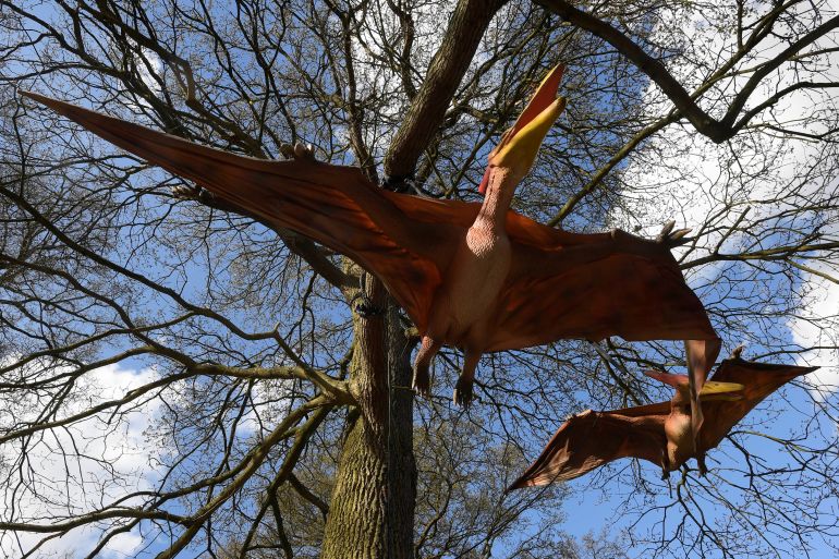Animatronic life-size pterosaurs are seen ahead of an interactive exhibition, Jurassic Kingdom, at Osterley Park in west London, Britain, March 31, 2017. REUTERS/Toby Melville