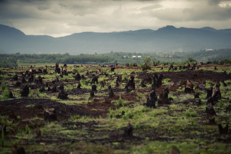 صورة تٌظهر إزالة الغابات في مدغشقر
