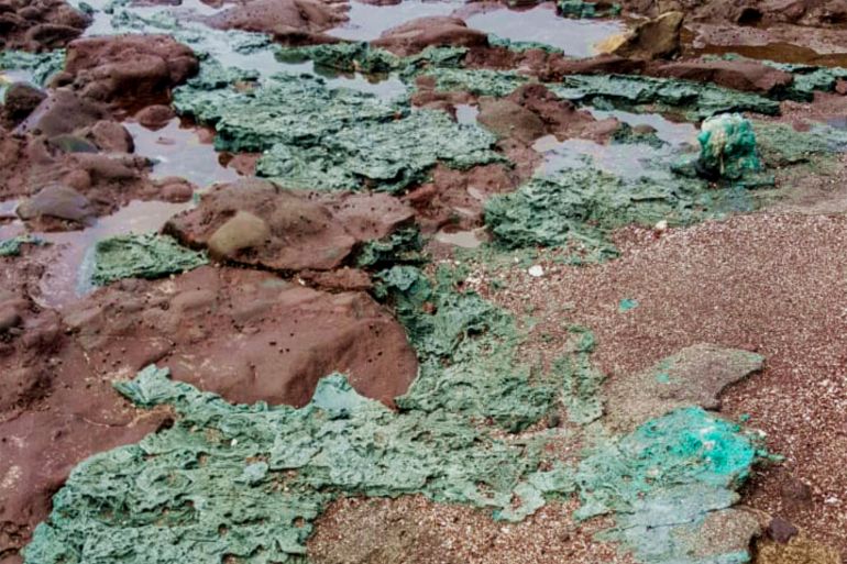 يمثّل ظهور الصخور البلاستيكية في إحدى المناطق النائية على كوكب الأرض، جزيرة ترينداد، مؤشر خطر ونذير لعواقب قد تكون وخيمة